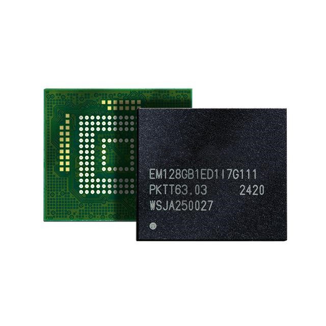 SFEM010GB1ED1TO-I-5E-31P-STD